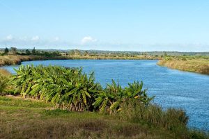 limpopo-river-xai-xai-mozambique
